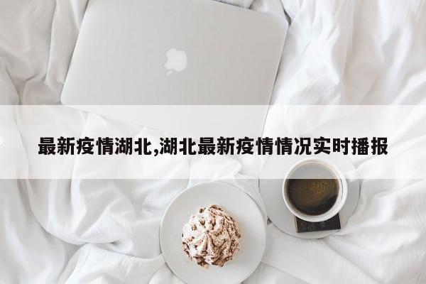 最新疫情湖北,湖北最新疫情情况实时播报